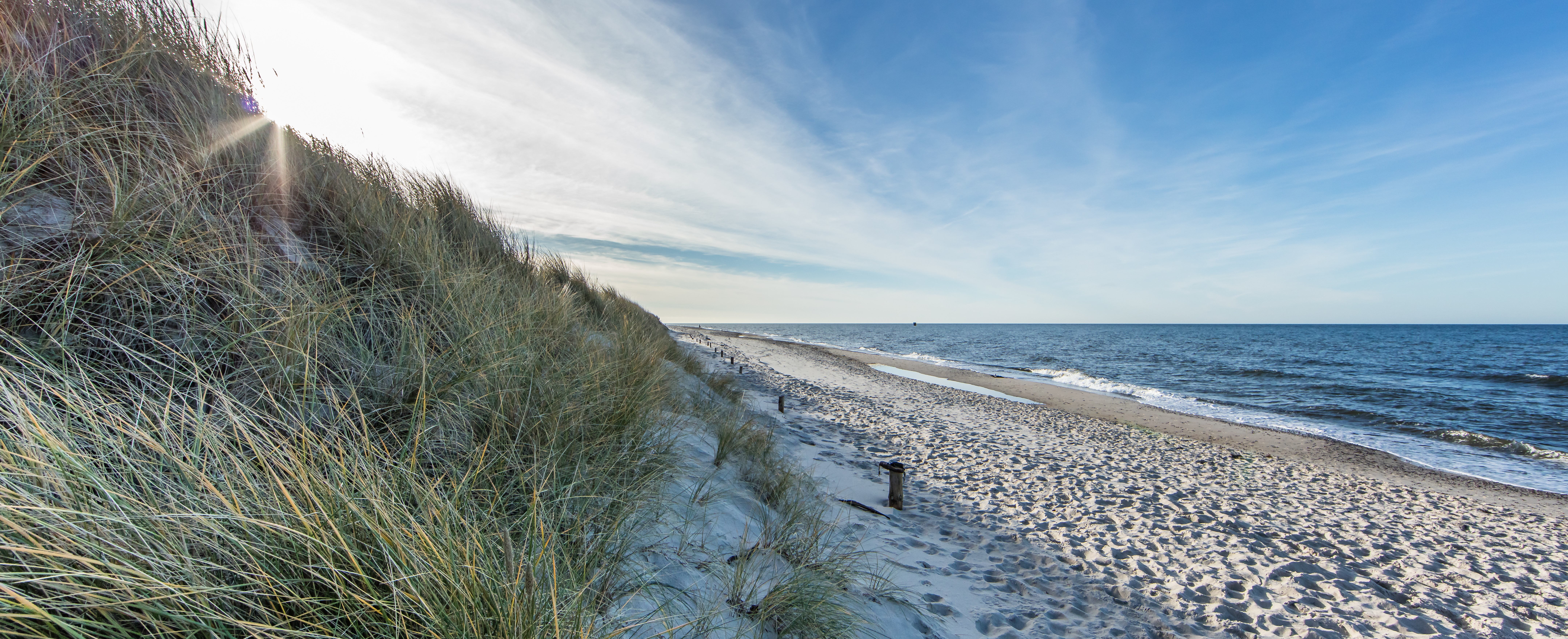 AdobeStock_129232682 schmal