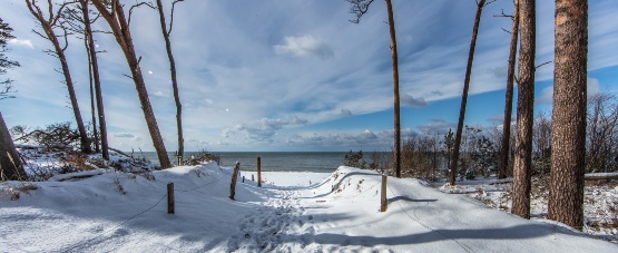 AdobeStock_196841753 schmal AdobeStock_196841753 schmal