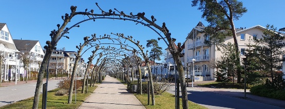 Strandstr. in Baabe im Frühling schmal