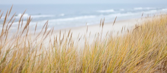 dunes-1936086 schmal