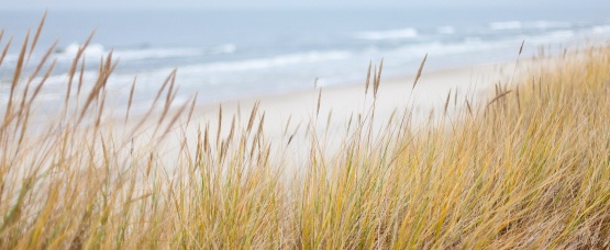 dunes-1936086 schmal